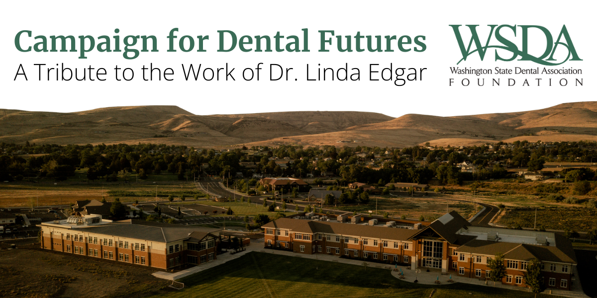 WSDA Foundation Campaign for Dental Futures Web Banner